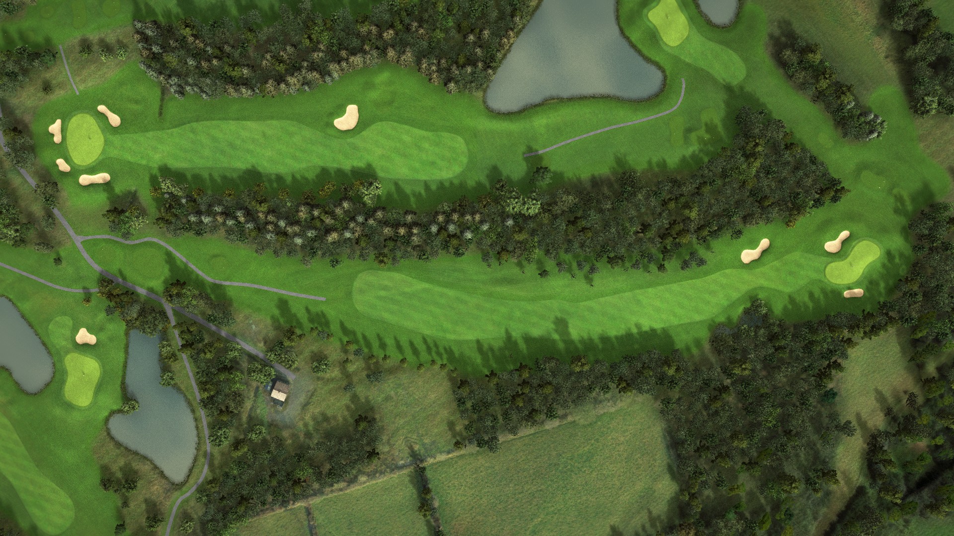 Hole 14 at Ballyneety
