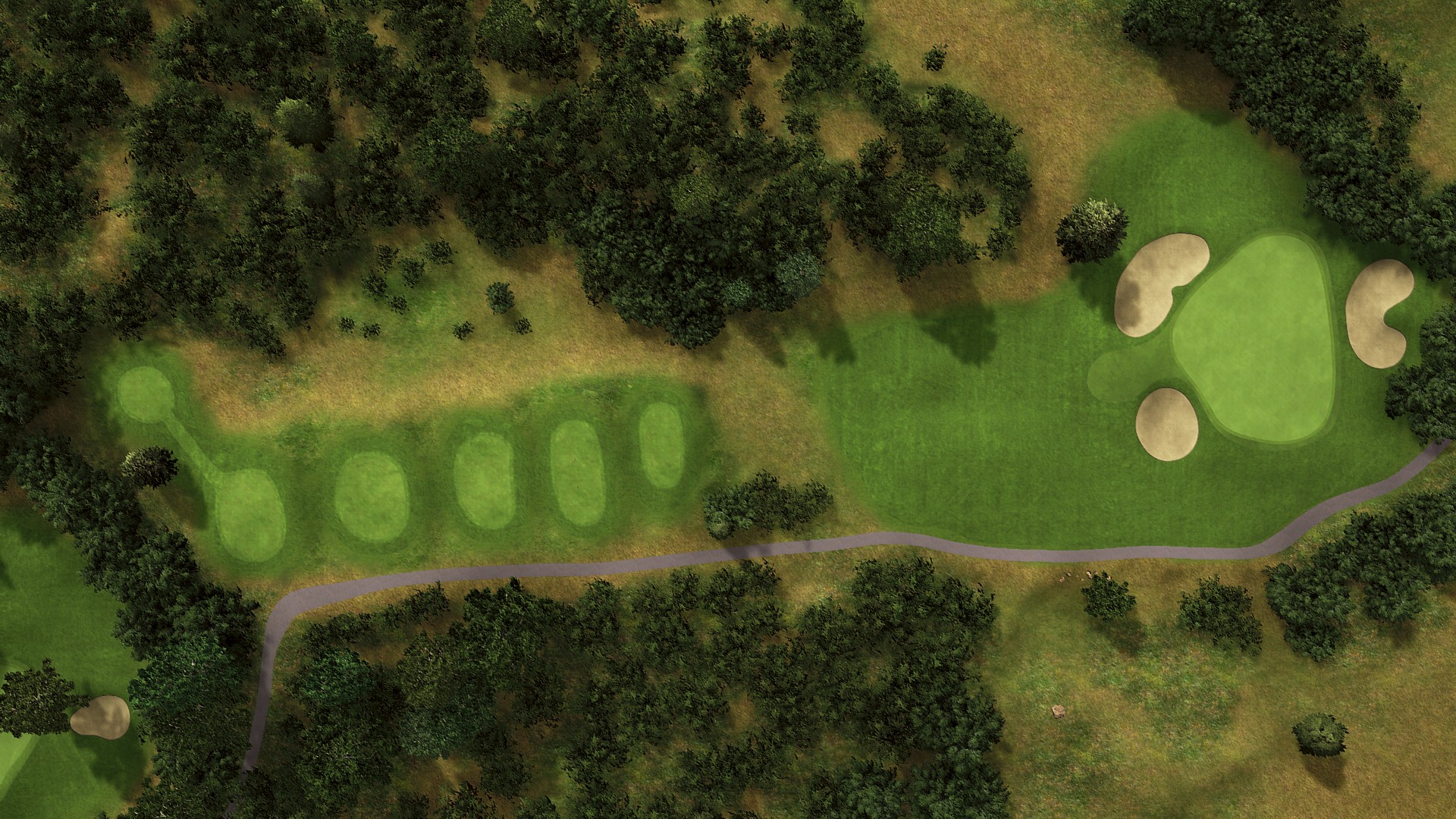 Hole 12 at Bear Dance, The Golf Club