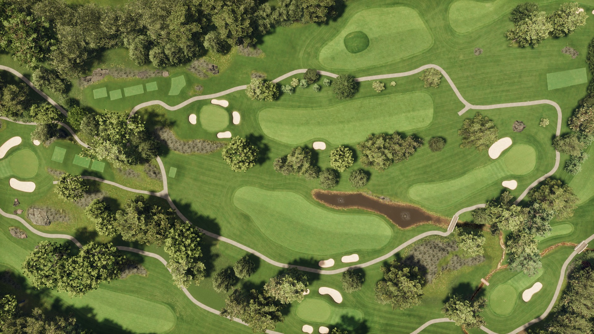 Hole 6