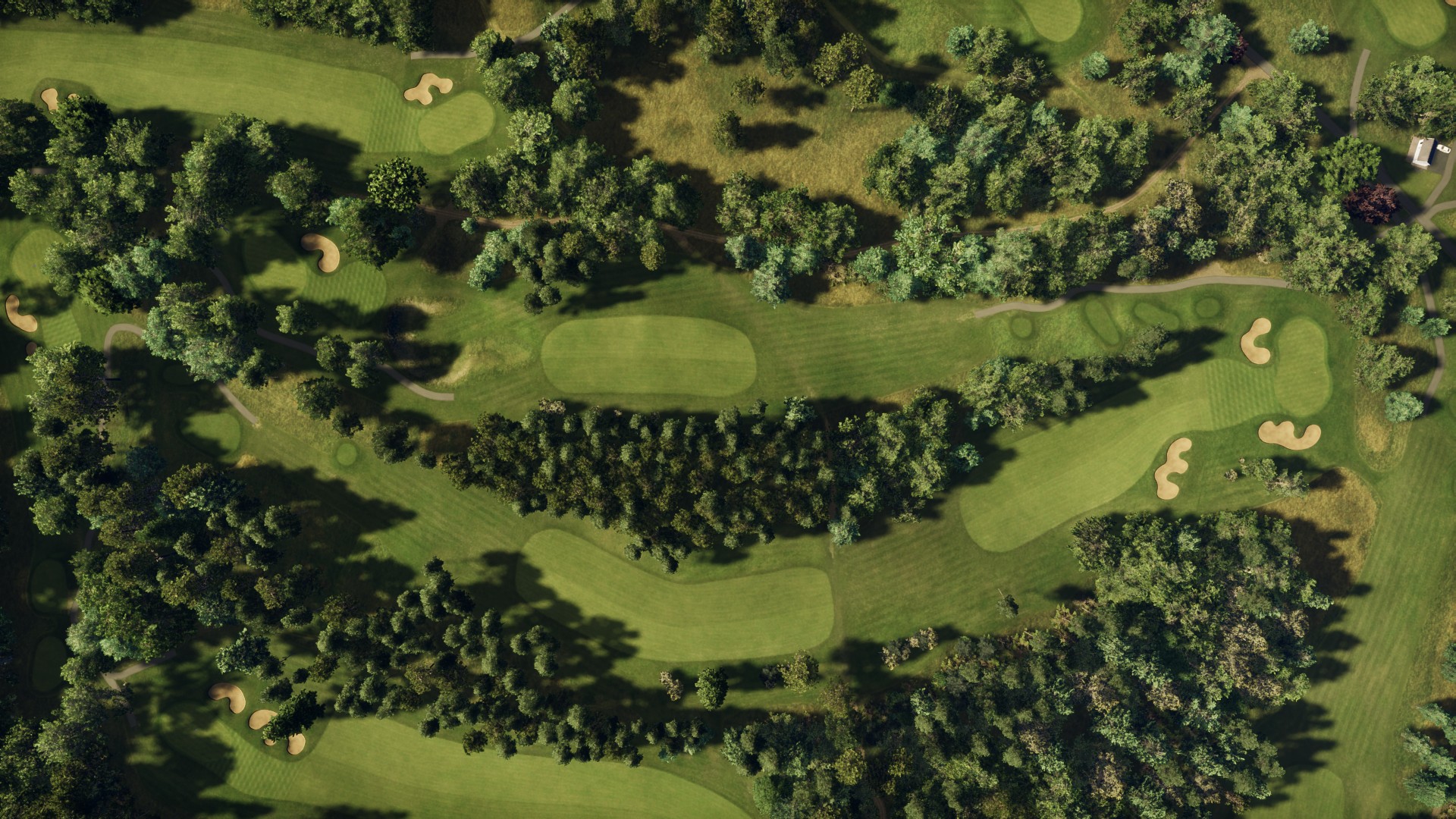 Hole 6