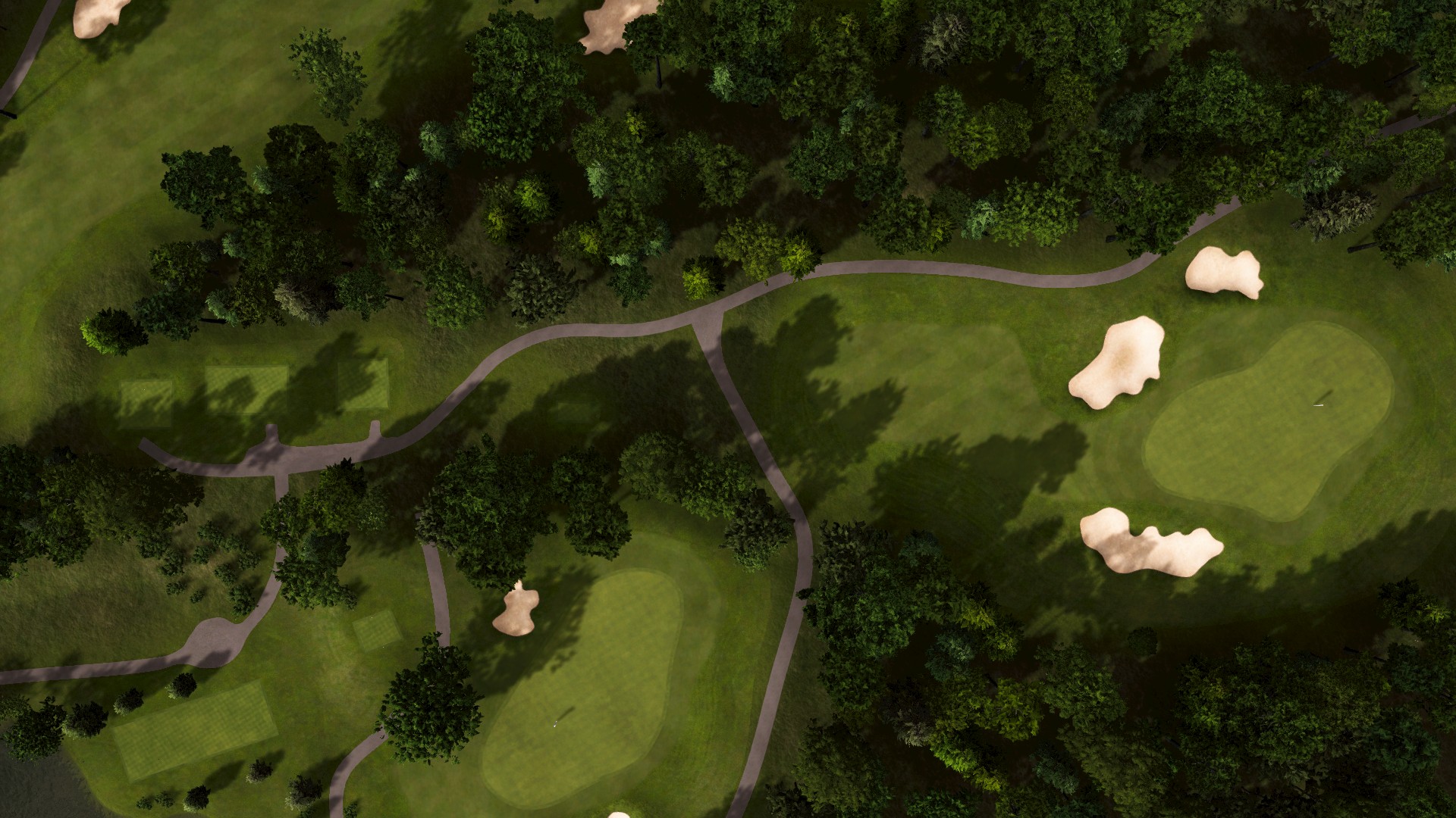 Hole 15 at The Duke Club