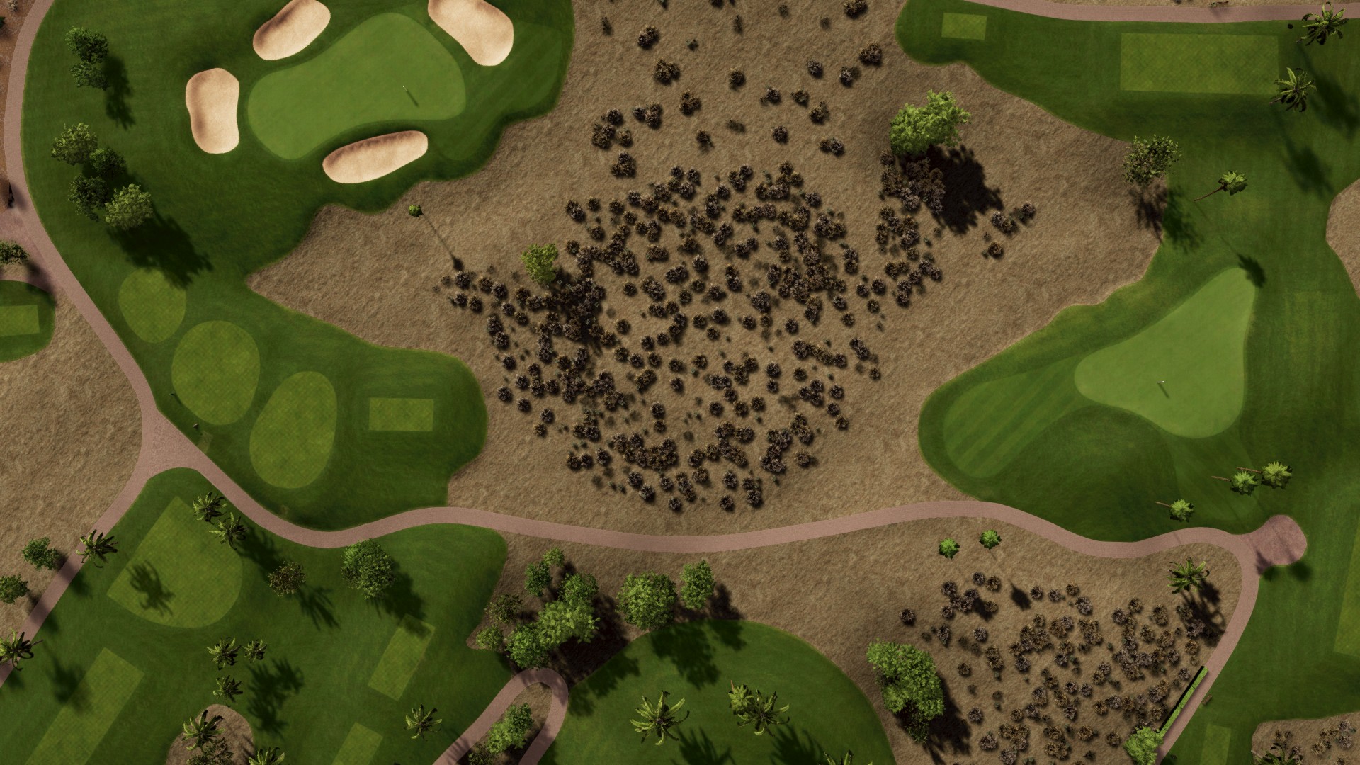 Hole 15