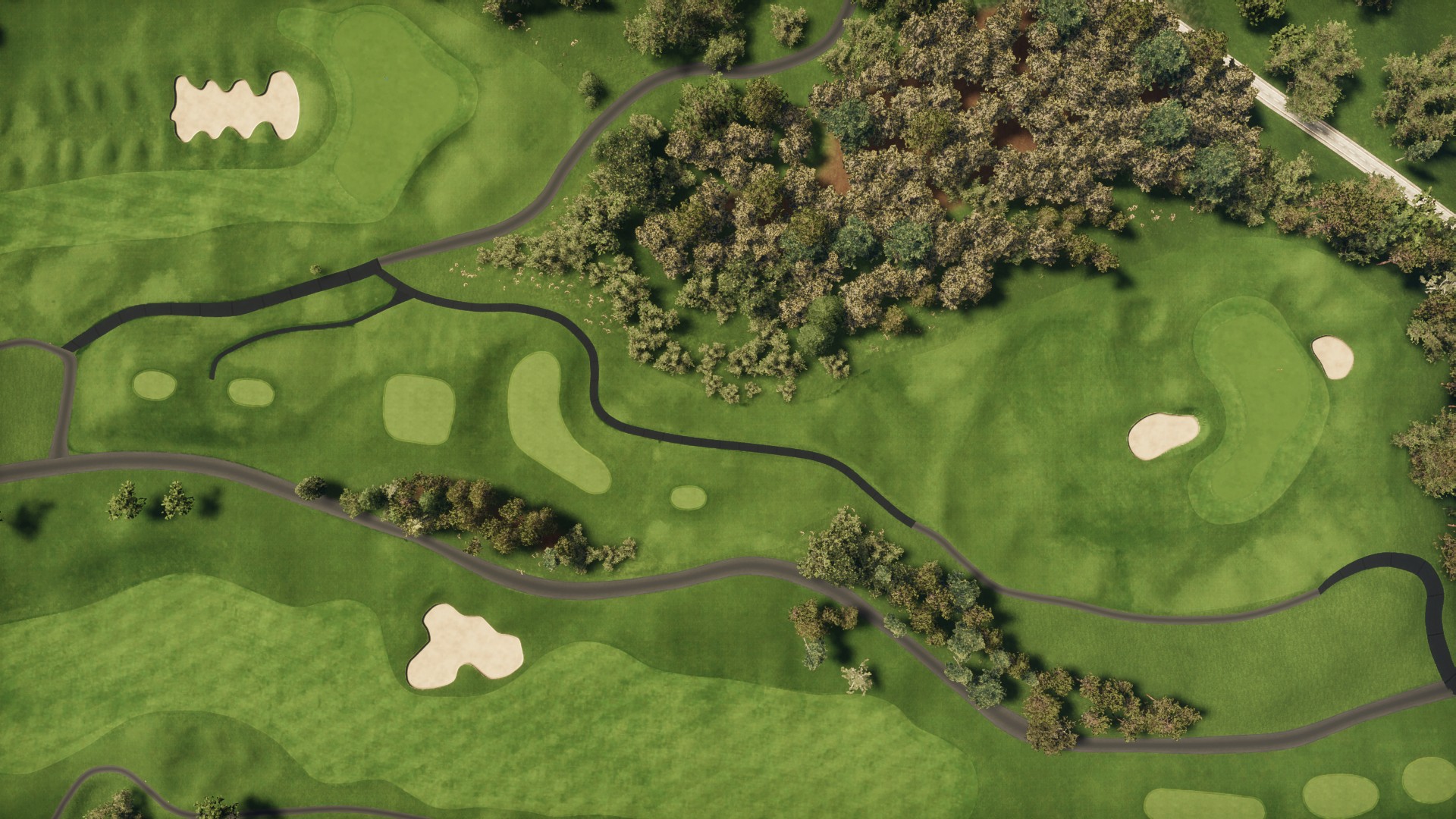 Hole 13 at Fuji Classic