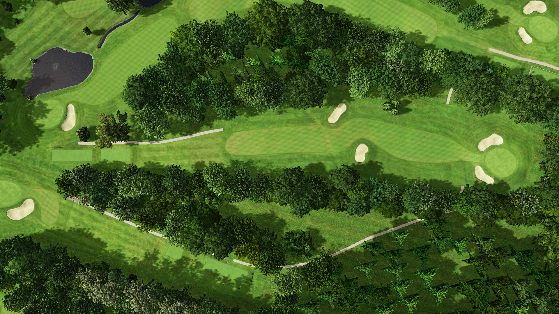 Hole 5
