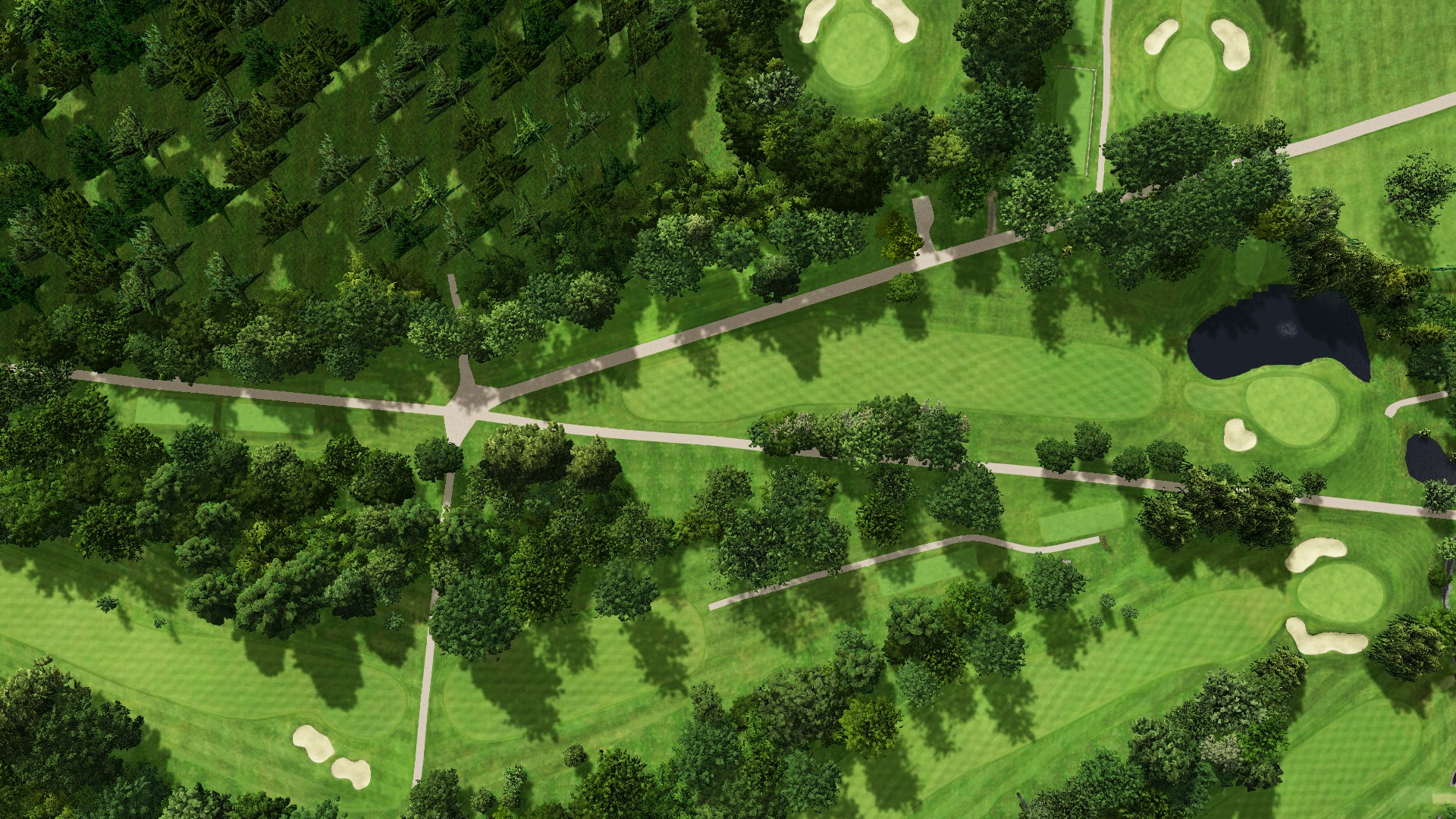 Hole 8