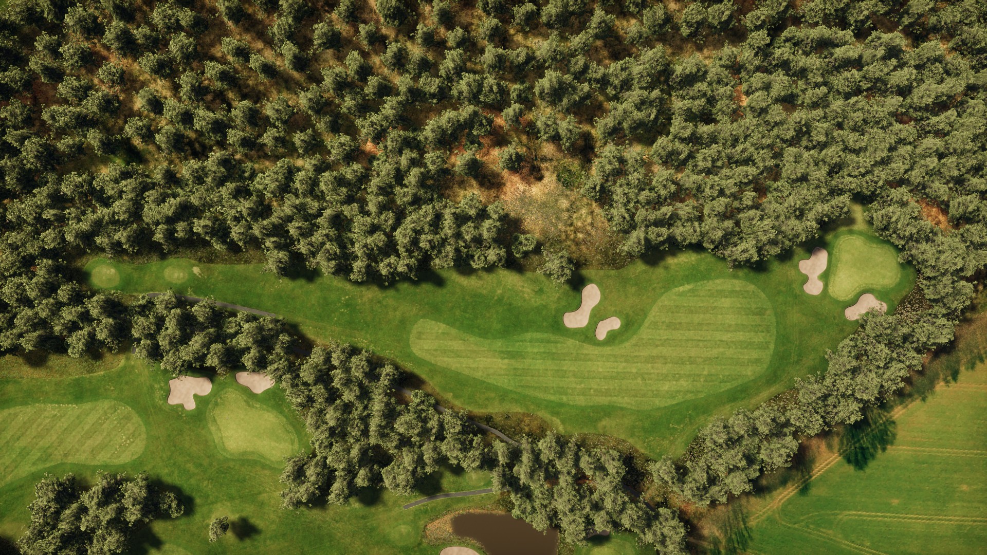 Hole 5
