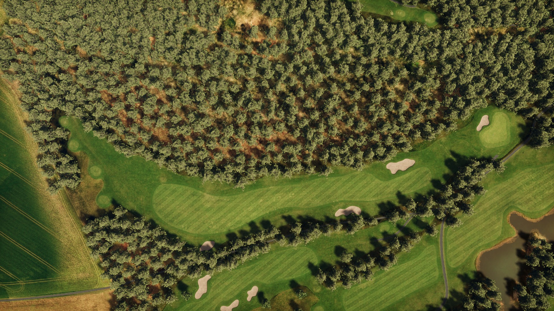 Hole 6