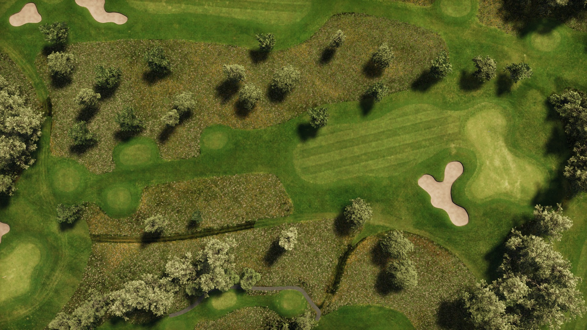 Hole 12