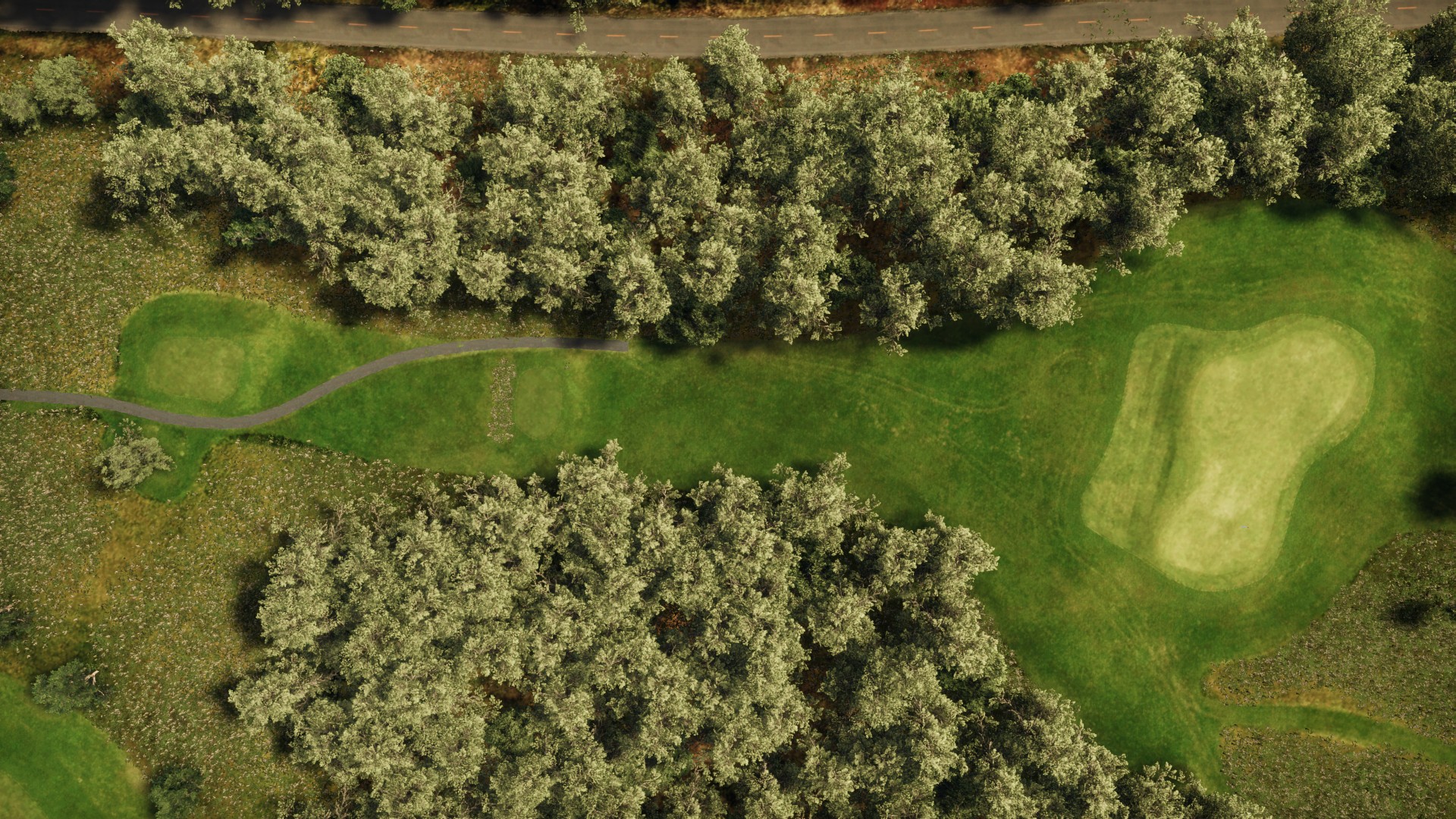 Hole 14
