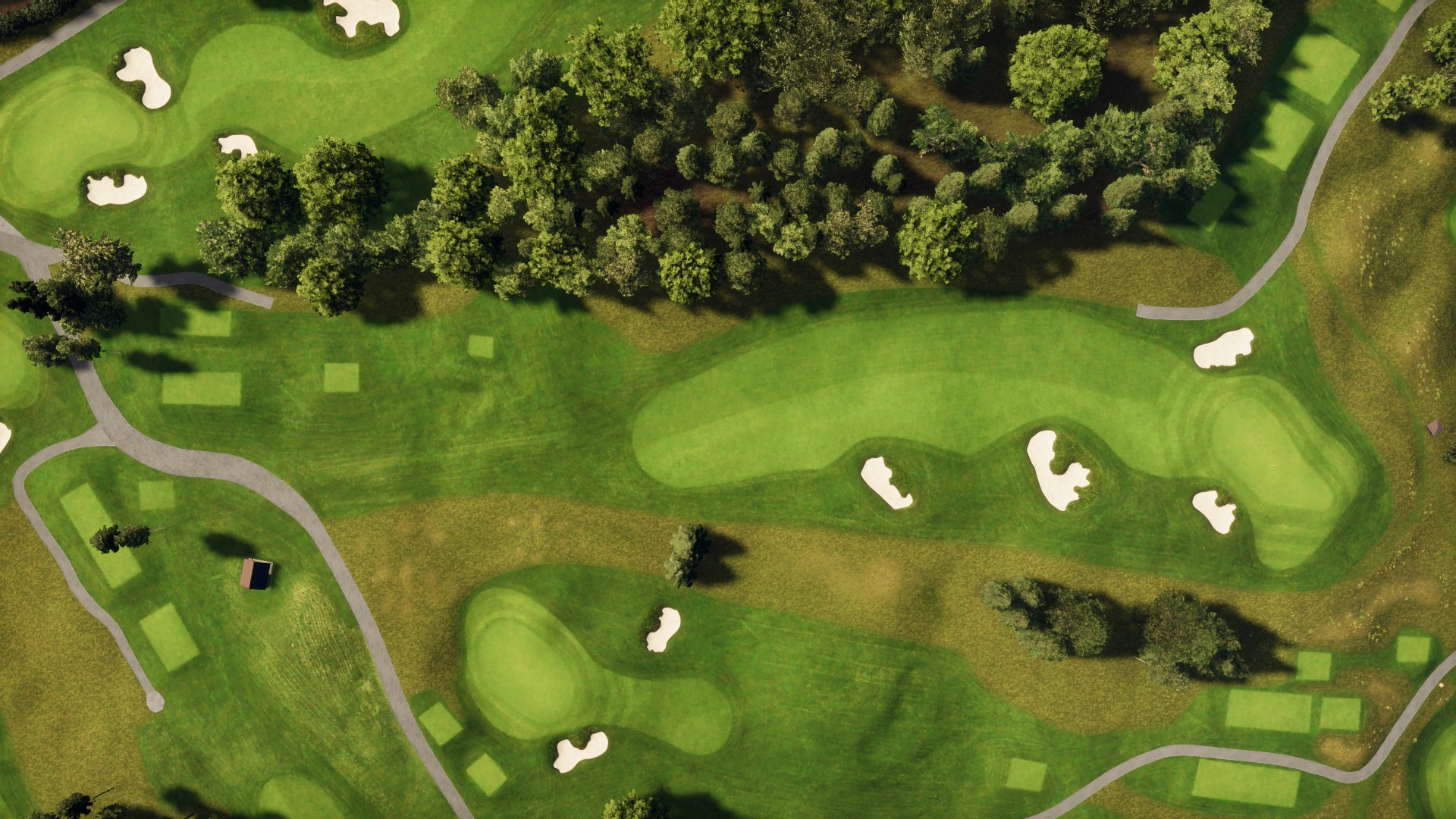 Hole 5 at Hamilton Golf & Country Club