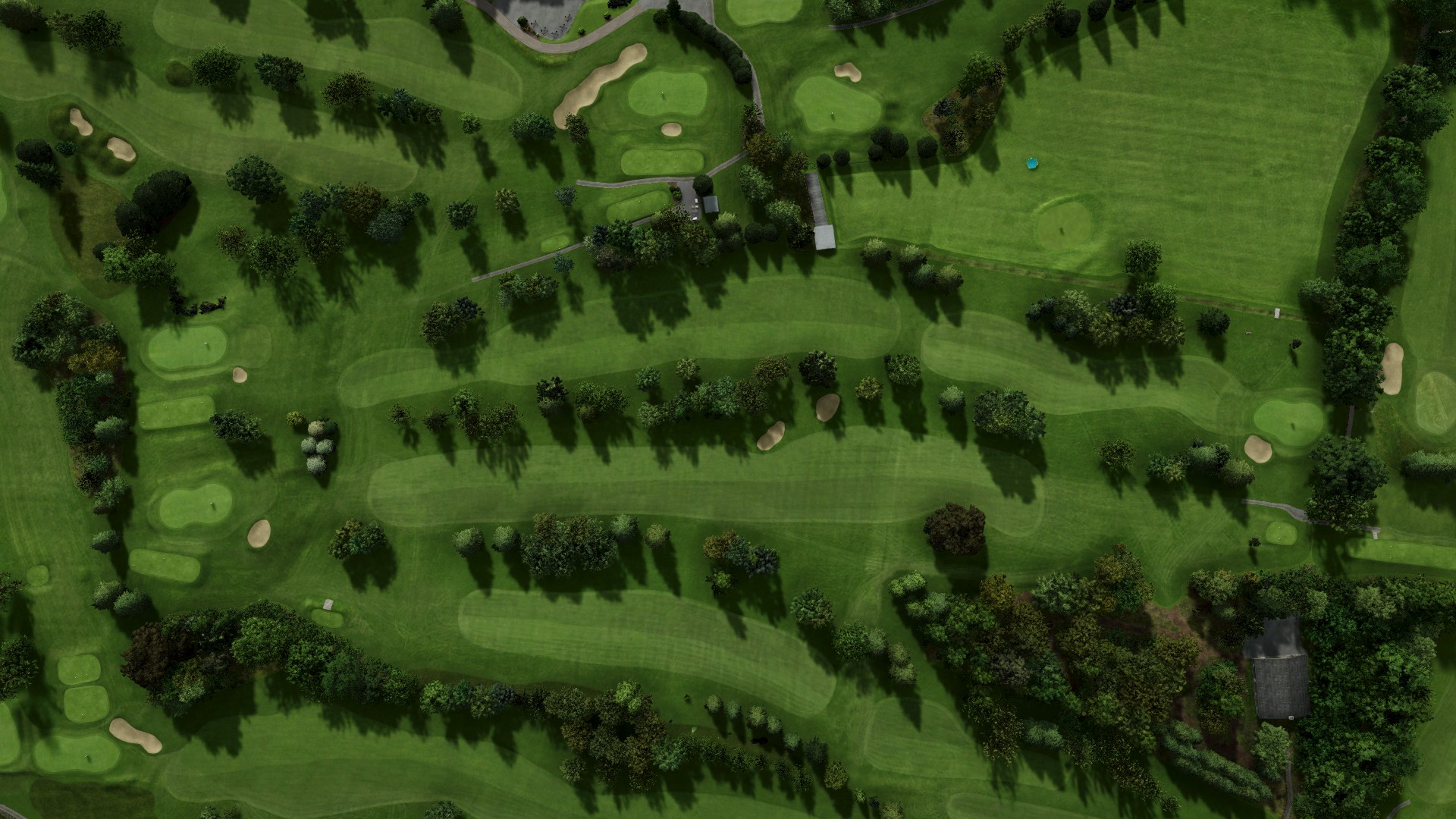 Hole 11