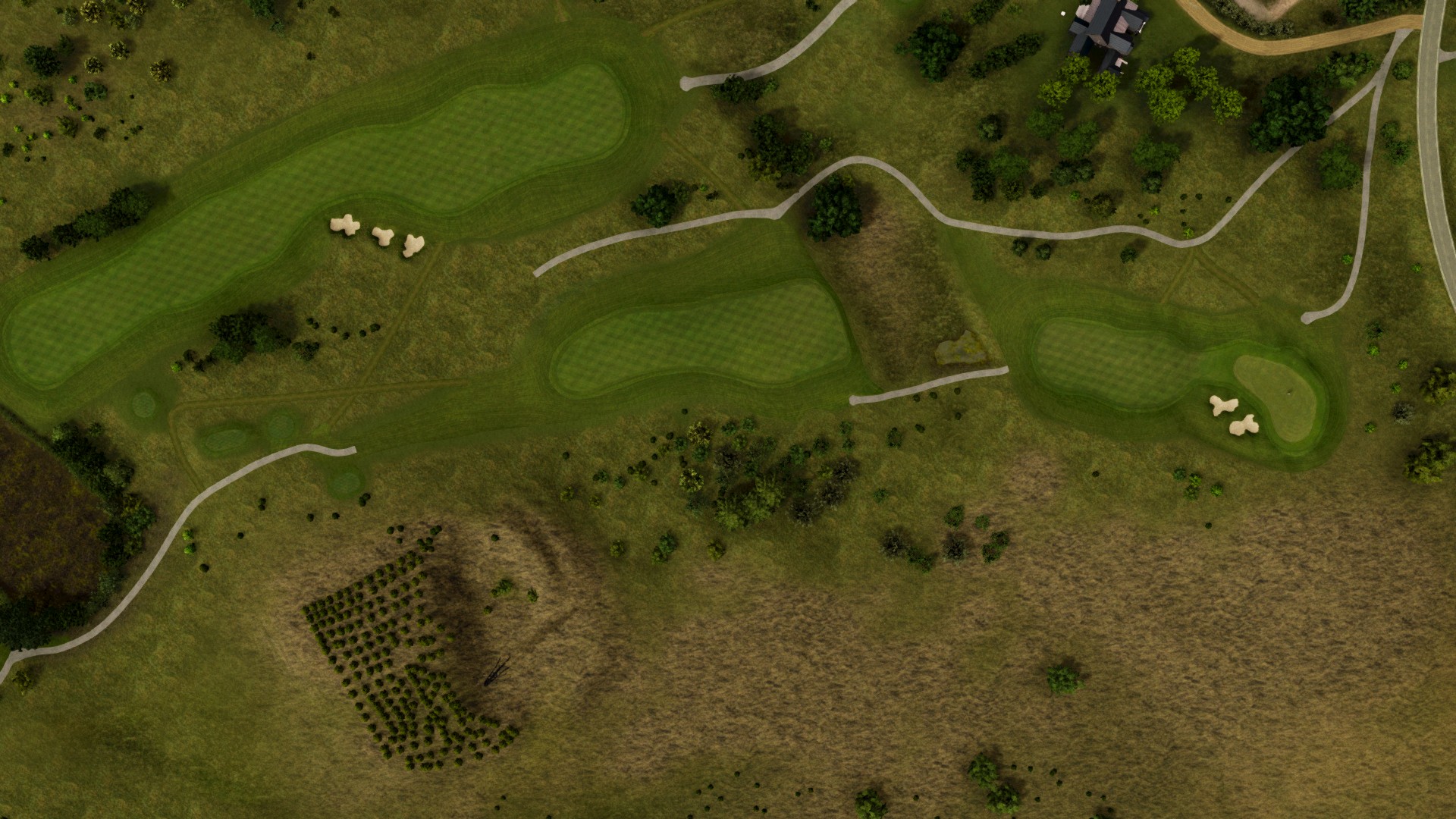 Hole 14