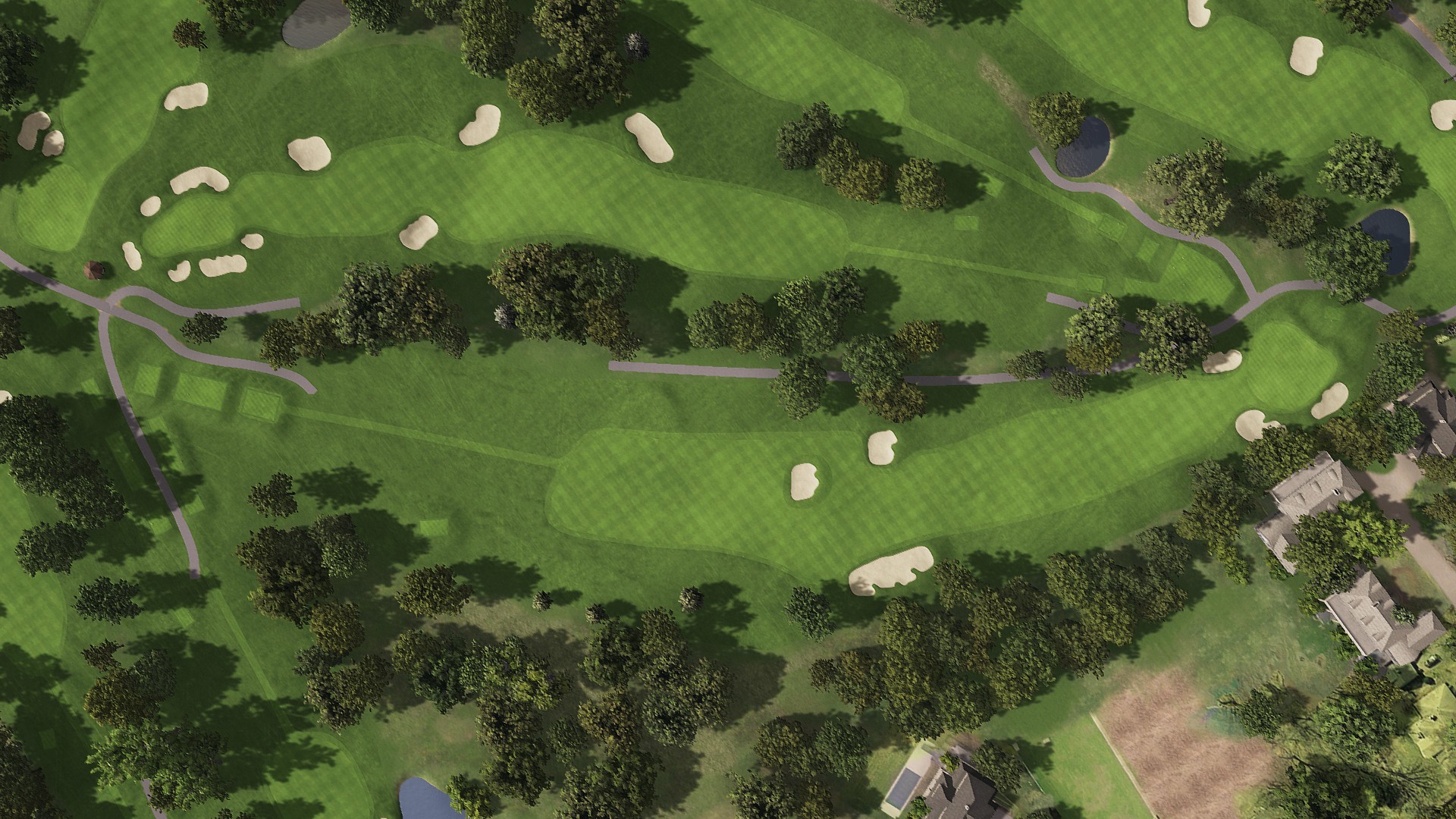 Hole 8 at Interlachen Country Club (Pre-Restoration)