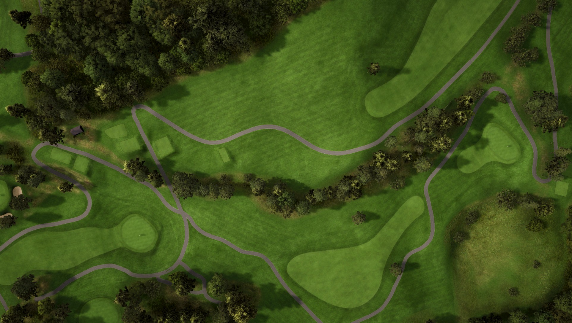 Hole 15