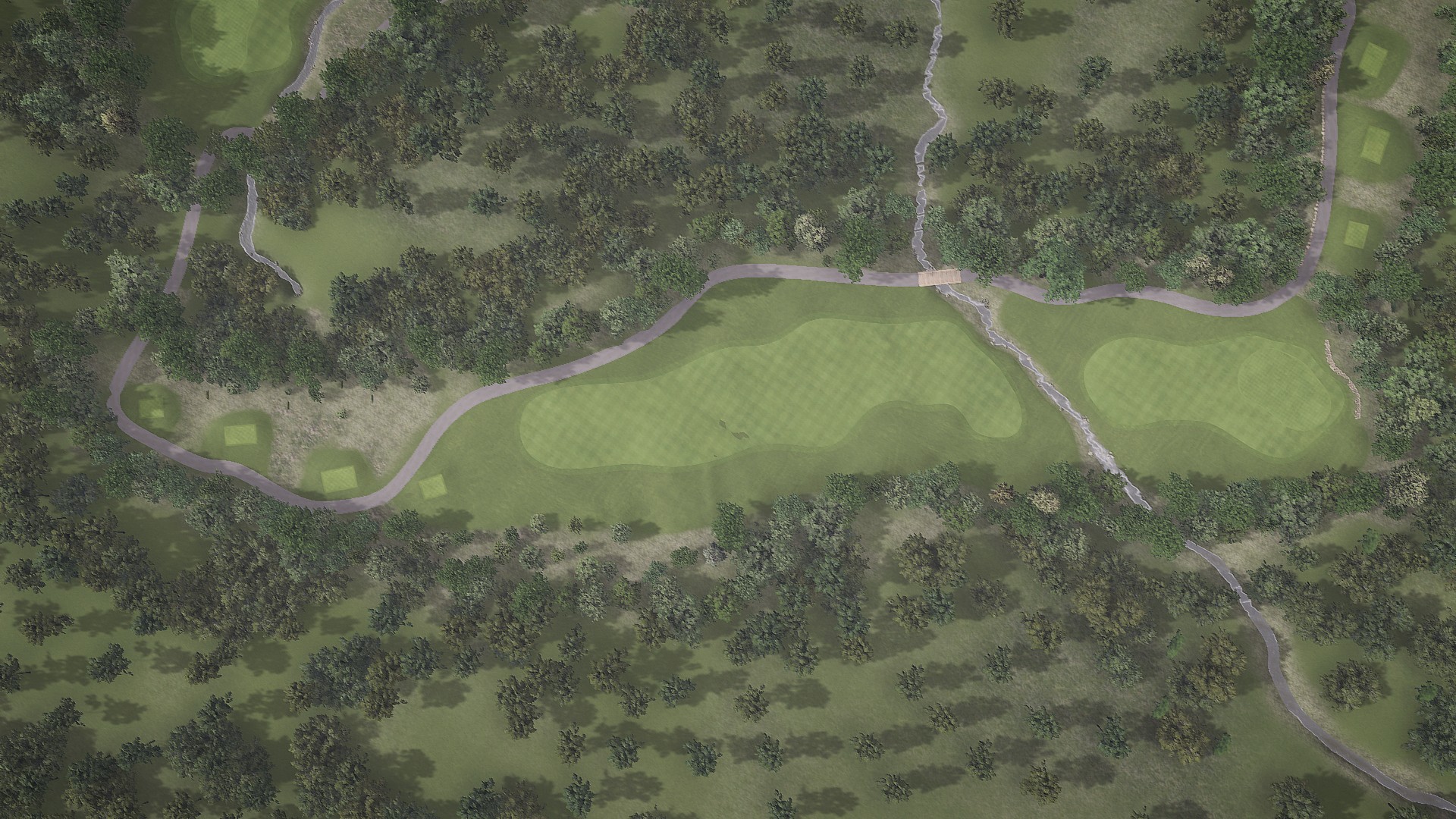Hole 4 at Kissing Tree