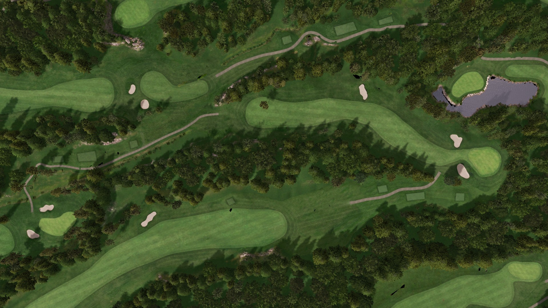 Hole 15