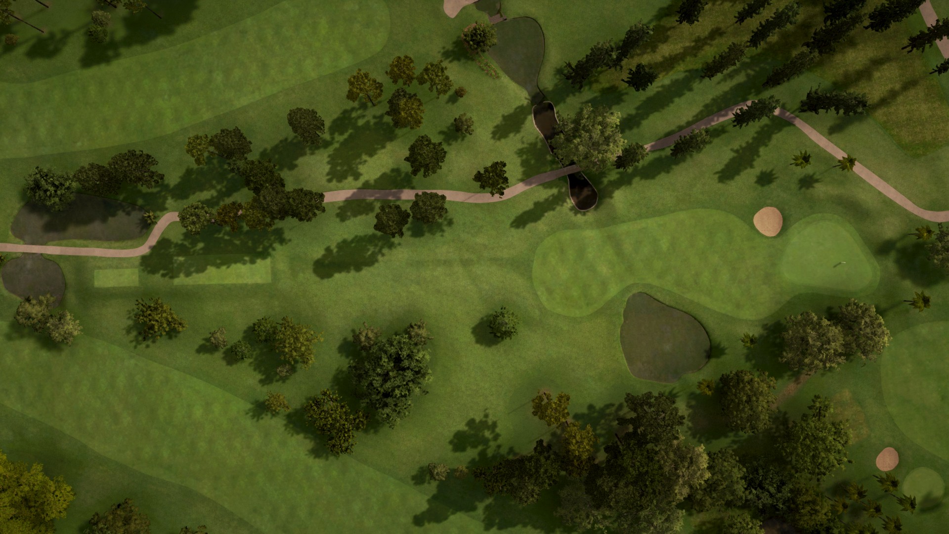 Hole 11