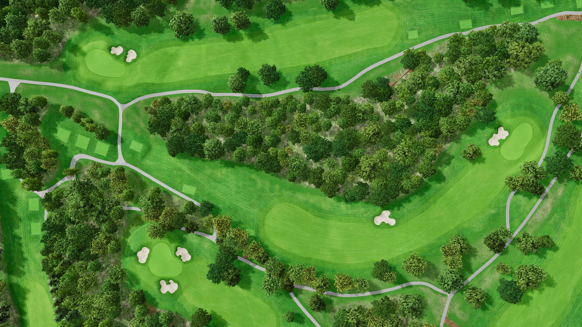 Hole 12