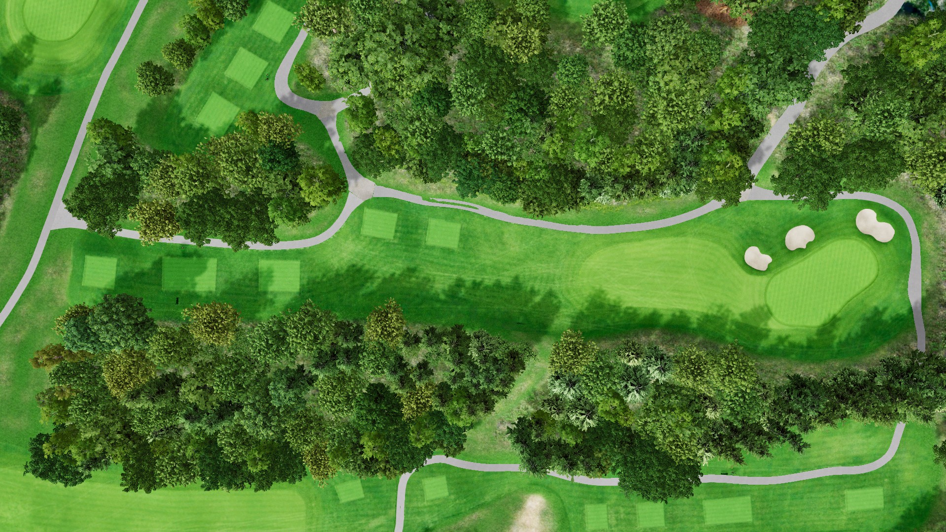 Hole 14