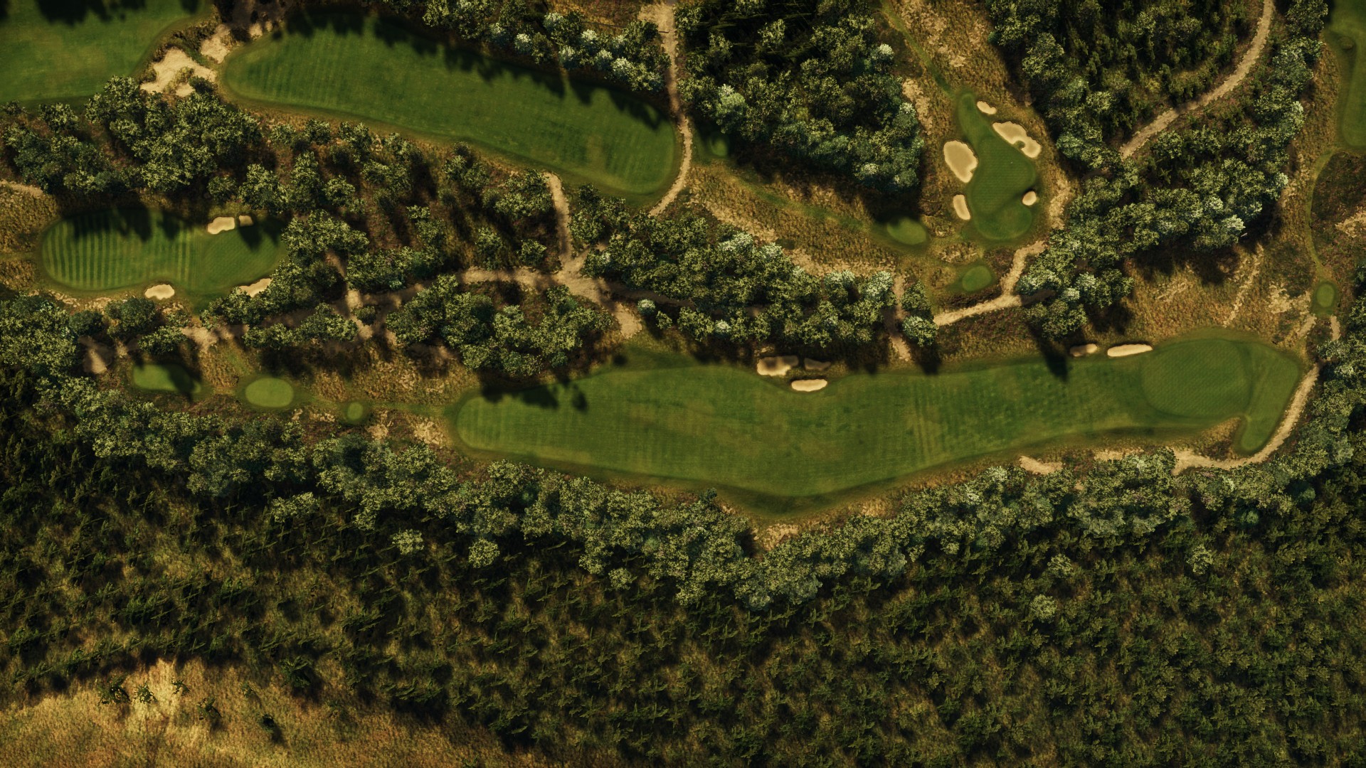 Hole 12