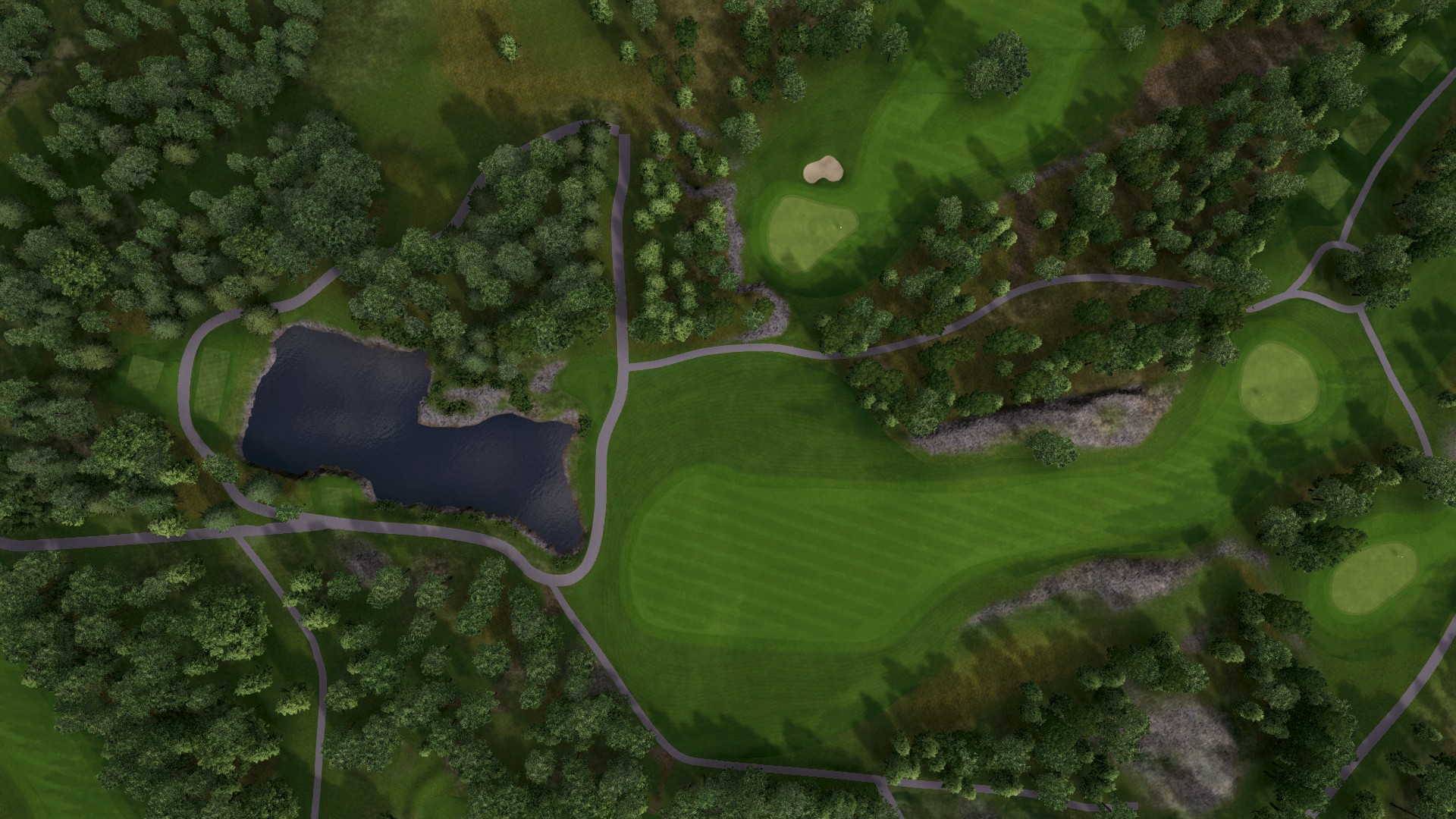 Hole 14