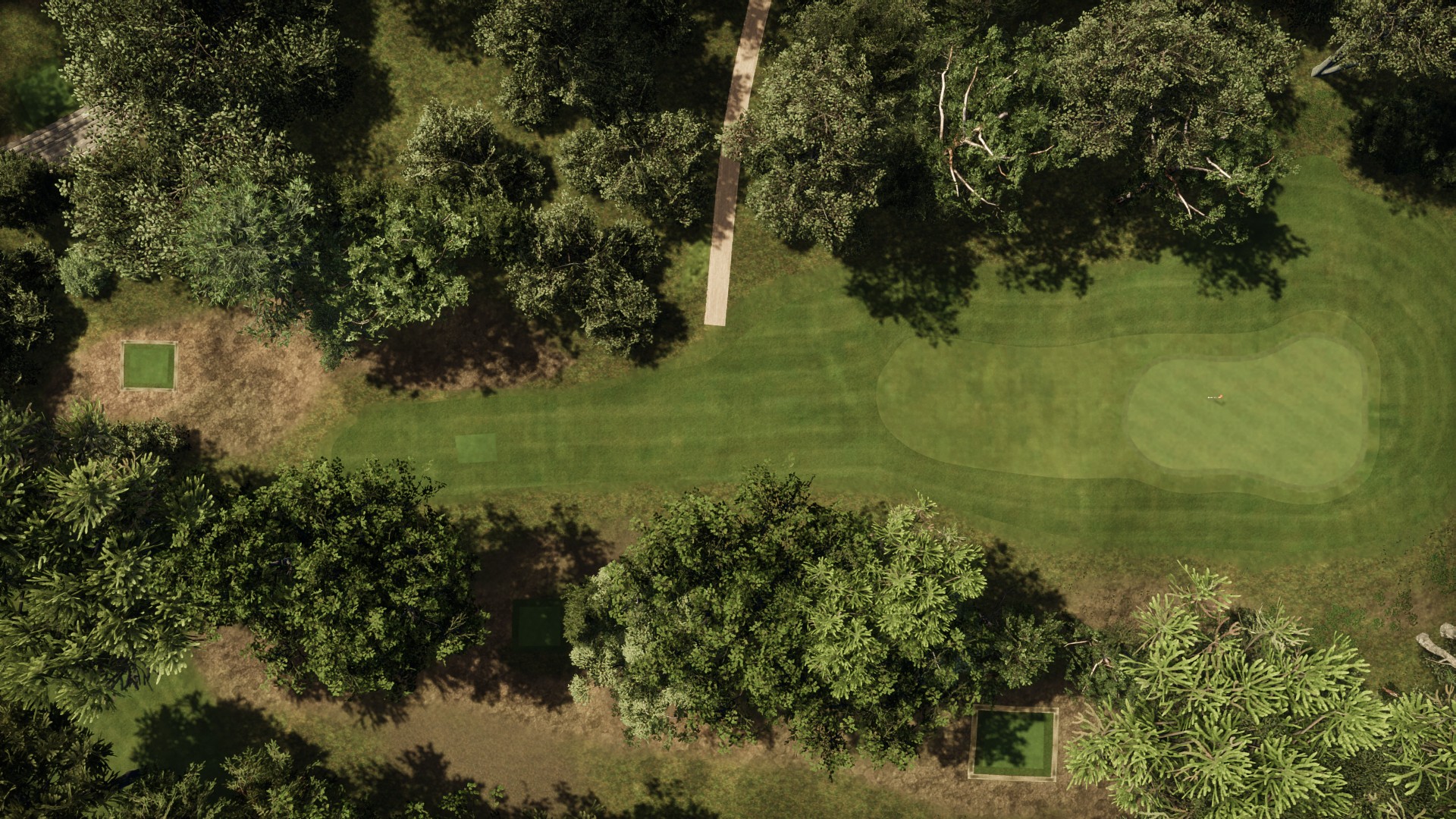 Hole 5