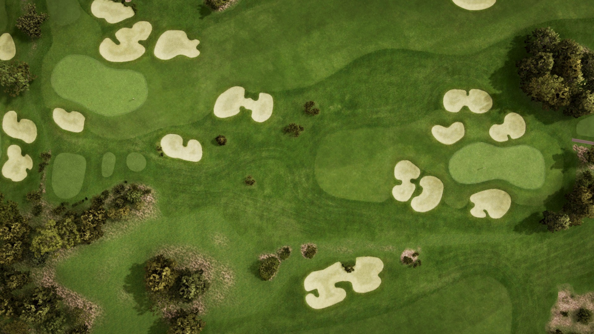 Hole 14