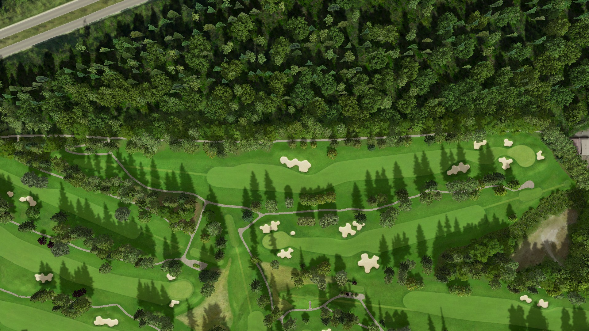 Hole 15