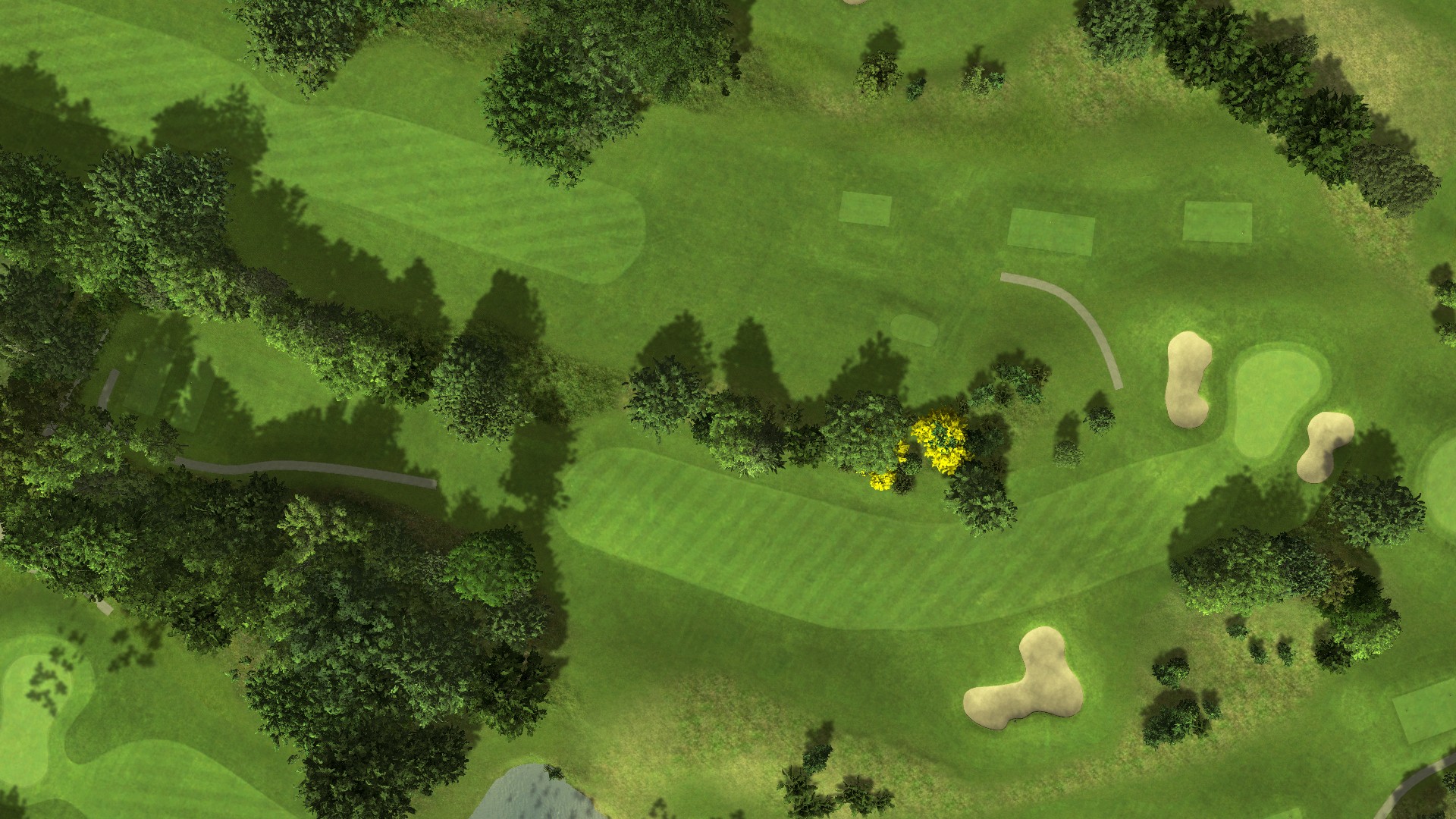 Hole 4
