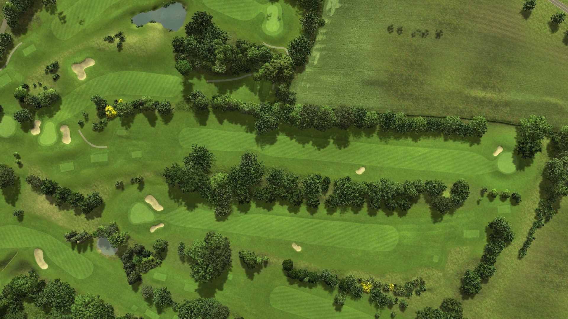 Hole 5