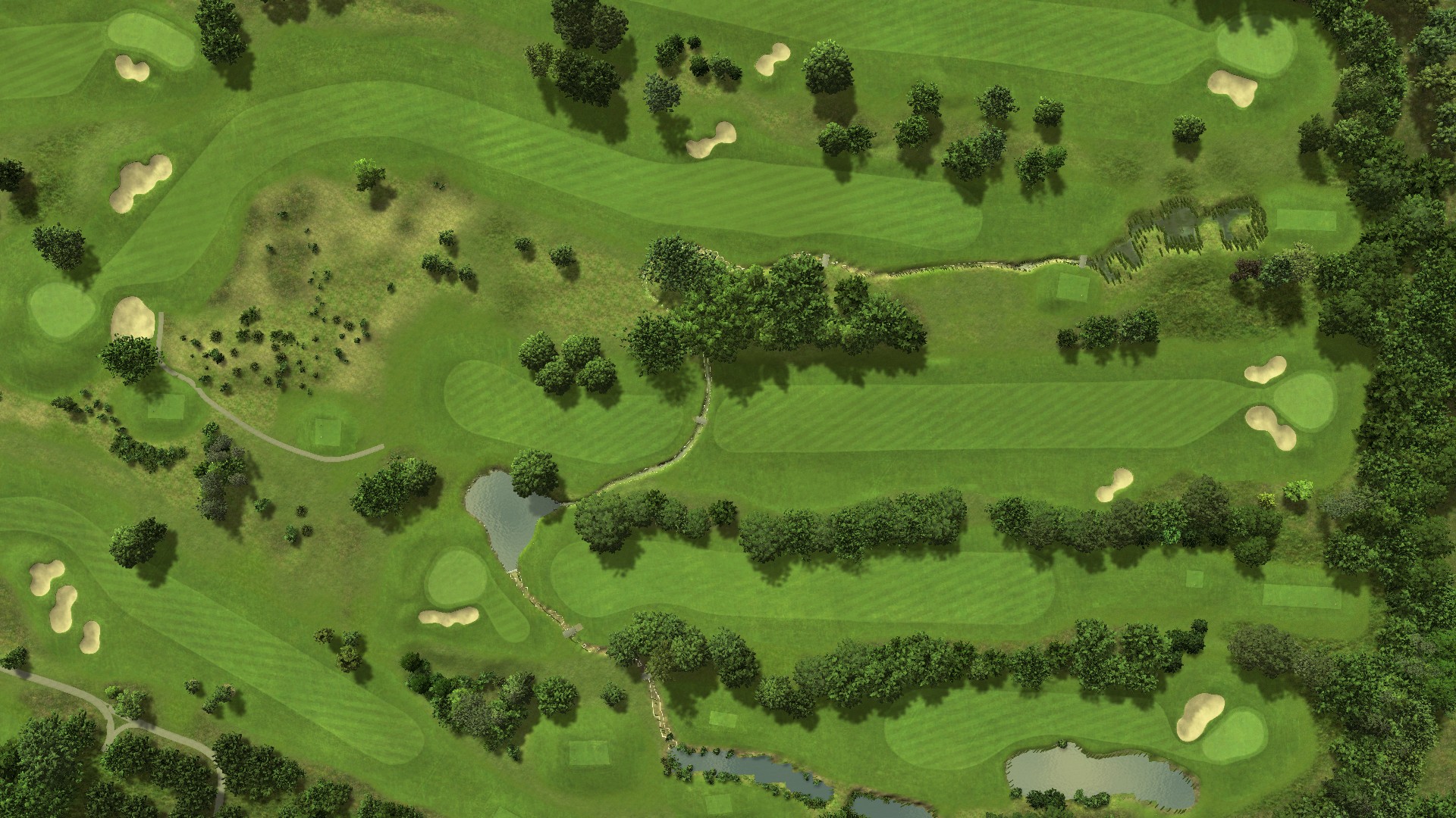 Hole 13