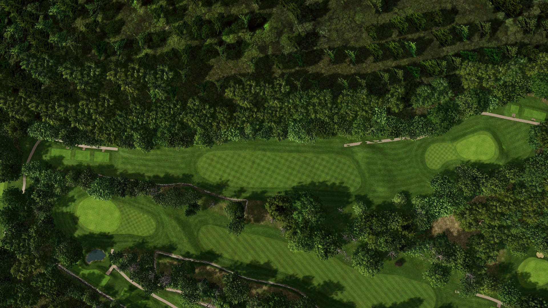 Hole 12 at The Drift Golf Club