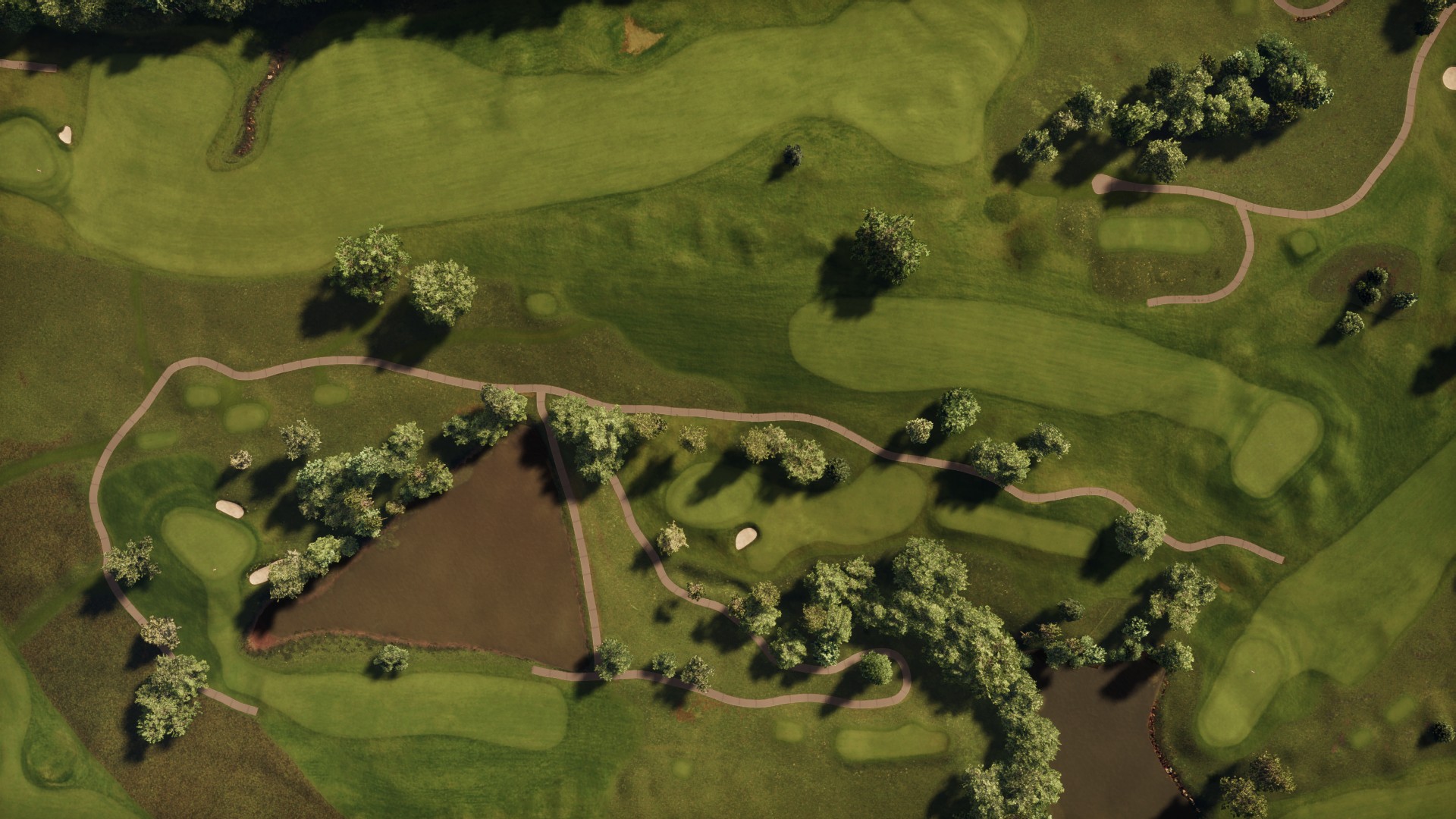 Hole 15