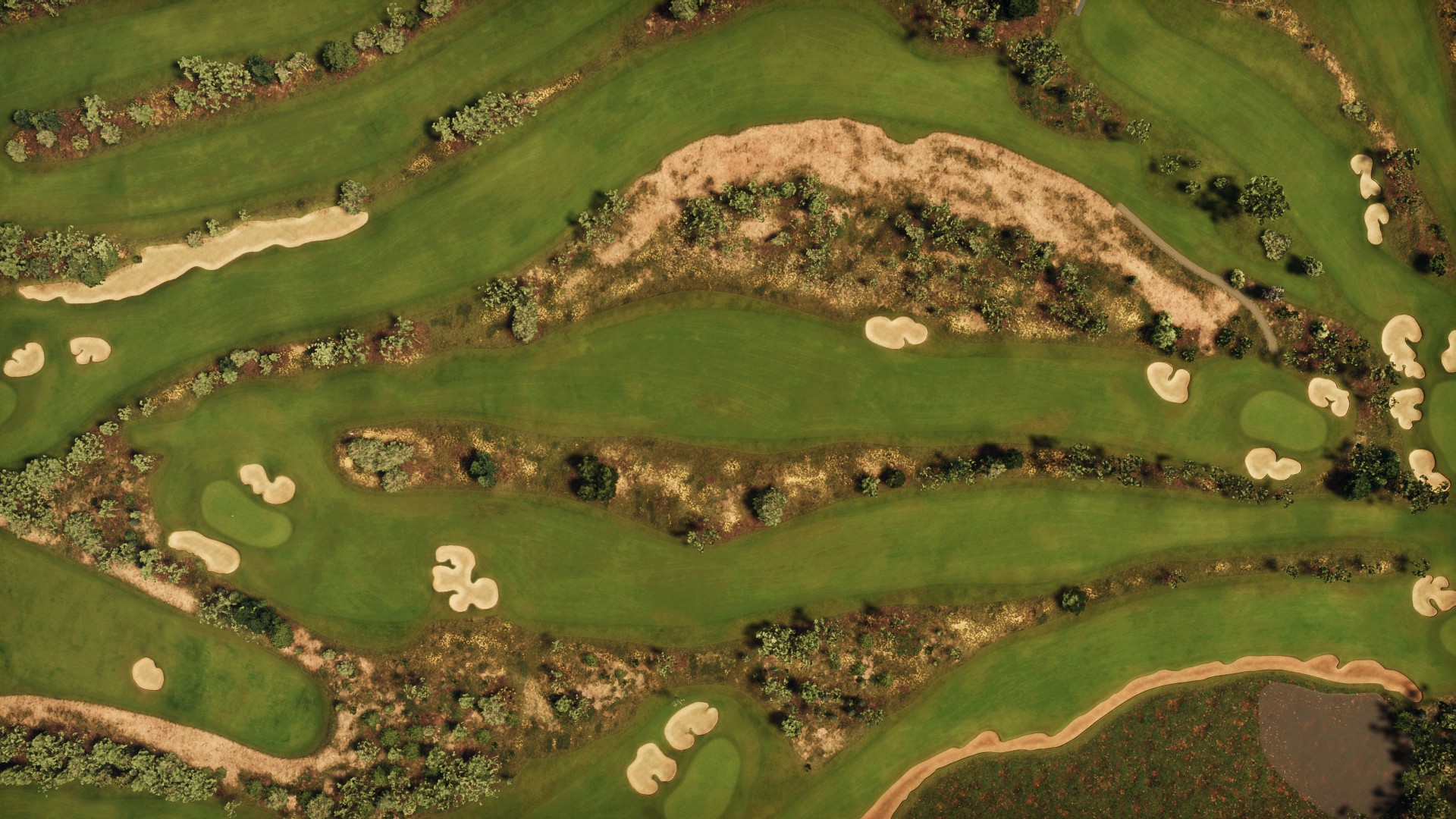 Hole 8