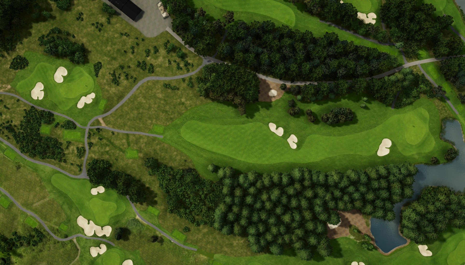 Hole 15