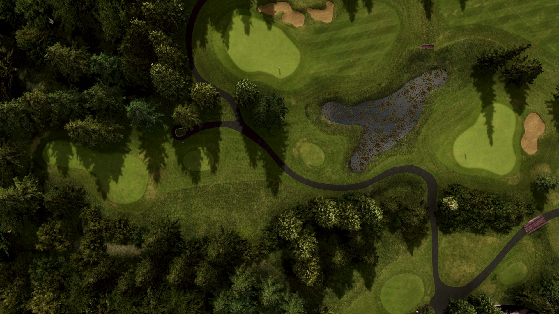 Hole 8