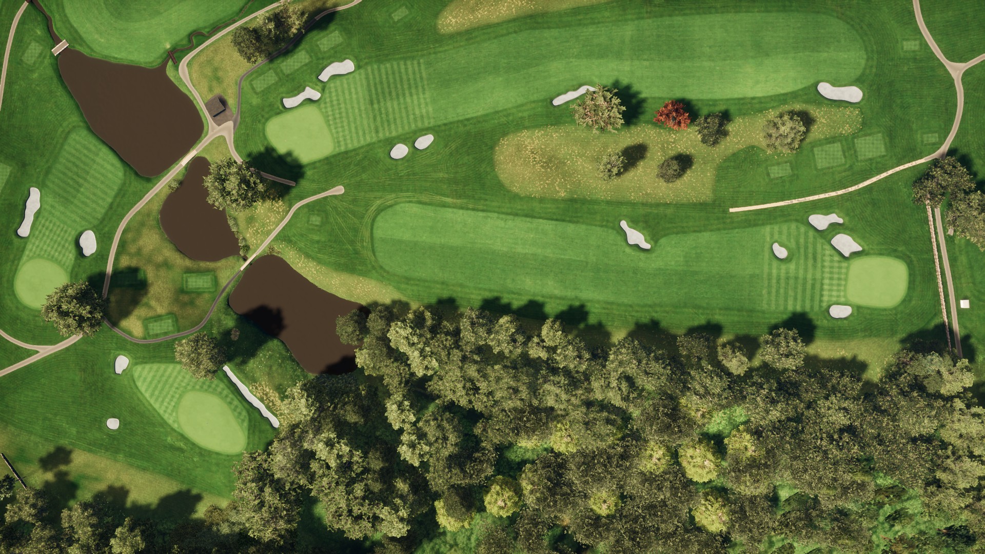 Hole 7