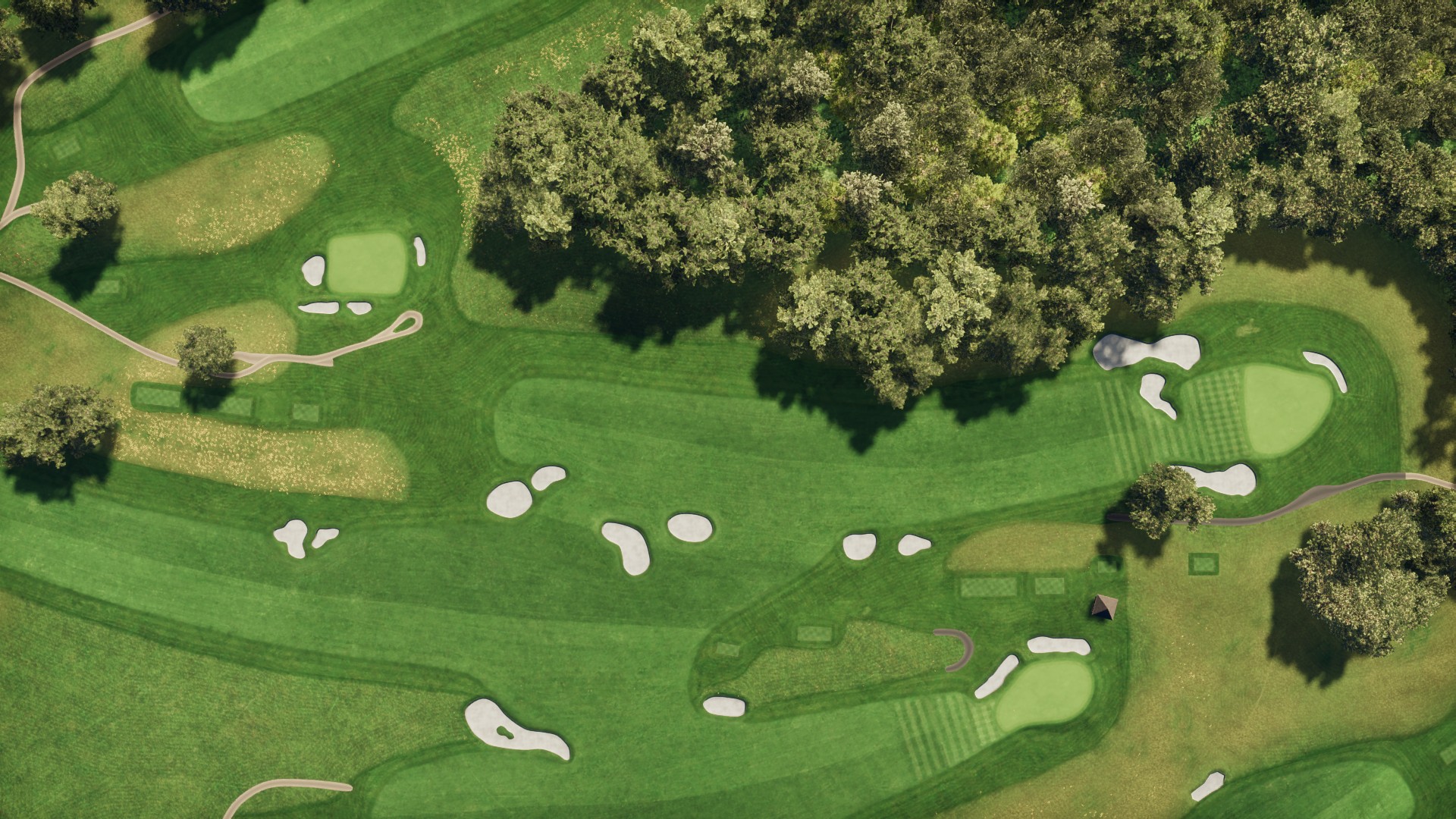 Hole 11
